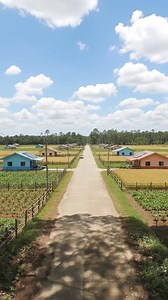 Use this farm land and imagine it becoming a real community. Here’s a quick look at what future development can look like. Farmland for installment • 43 months to pay • Reservation 20k • 1000 sqm. #DipologRealEstate #MindanaoProperties #farmlandforsaleph #SubdivisionDevelopmentt #realestateinvestingph | Rain Forinas