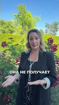 Онлайн-страховка или личный консультант — что выбрать?