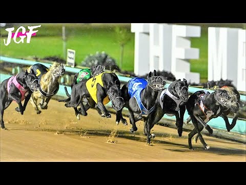 Australian Greyhound Racing - 490m Track Race