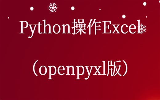 Pandas openpyxl Python Excel视频课程