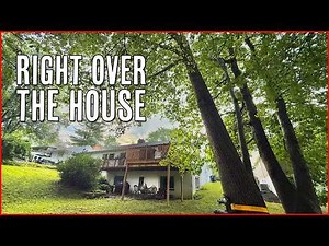 Heavy Leaning Oak Tree Removal