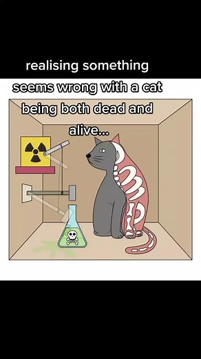 decoherent.memes on TikTok