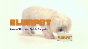 60K views · 870 reactions | Introducing Slurpet, the Slurpee for your pets. From Tuna Tornado to Worm Whip, there’s a tantalizing flavor for all your pets. | Slurpee | Facebook