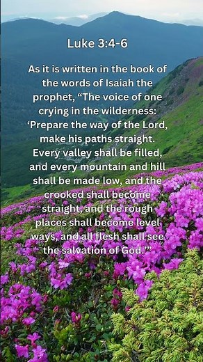 Jesus Saves | Luke 3:4-6 Daily Bible Verse
