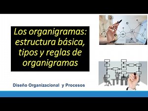 Organizational charts: basic structure, types, and rules.