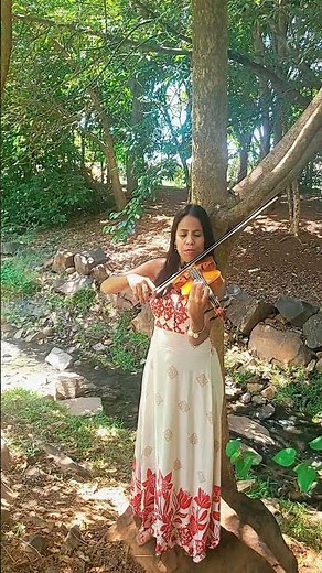 Now We Are Free Gladiator Theme #violin #violinshorts #violinist