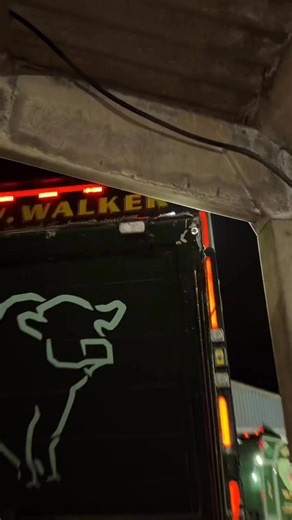 279K views · 3.1K reactions | One of the greatest close shaves i’ve ever seen 鸞 | The Sheep Game | Facebook