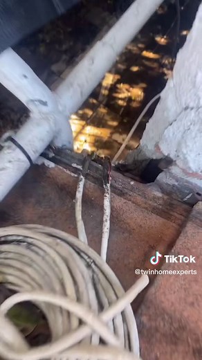 RATS inside your home ? #rats #pestcontrol #hometips #twinhomeexperts