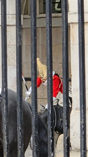 Incredible Horsemanship: What it takes when a 1,200lb cavalry horse says 'no'. A lot of people see the Changing of the Guard as flawless, perfect ceremony. This video shows the immense skill and professionalism required when things don't go to plan. ​Here, a cavalry horse is refusing its sentry box. These are not machines; they are powerful animals with their own temperament. Watch the soldier's incredible composure and strength. His ability to stay seated, maintain control, and manage the horse