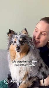 Do something FUN with your dog! Start agility with OneMind Dogs, download the FREE starter kit here: https://www.oneminddogs.com/the-ultimate-dog-agility-starter-kit/ 💕👌🐾🐕 #oneminddogs #dogagility #agilitydog | OneMind Dogs