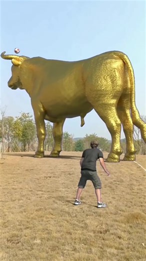 Exploring Special Effects in USAF Flight Shows