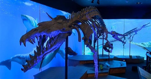 Preview of Monsters of the Abyss