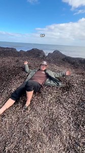 This beach is just seaweed 😂 | Michael drake