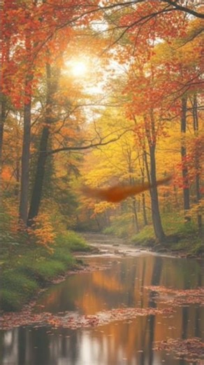 NICE AUTUMN BACKROUND