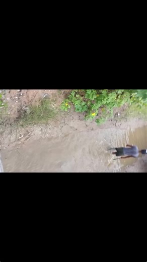 ŷõĝúřť (@christophersooklall)’s videos with Scrape Head - Original Lyrics