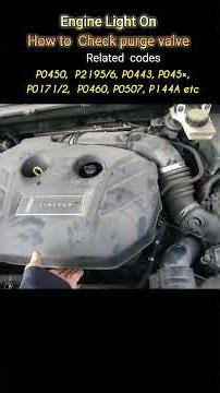 Engine Light, P1450, P045X, P2196, Evap purge valve stuck , How to Check it yr self, #Enginelight,