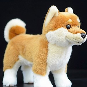 Watch Kawaii Shiba Inu Dog Plush Toy on Amazon Live