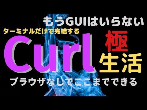 【ターミナルだけで完結】ブラウザいらず！curlで叩ける便利サイト10選
