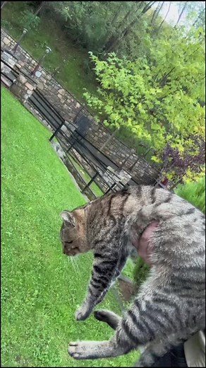 Commandotrading sur TikTok