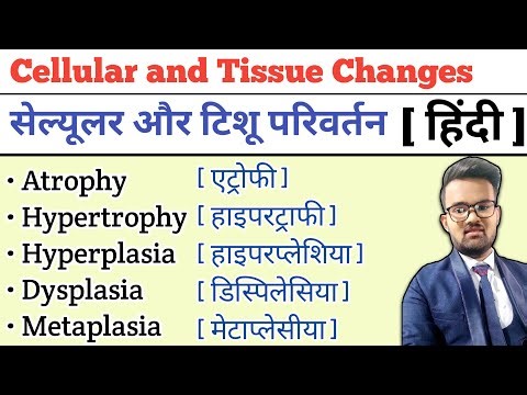 Cellular and Tissue Changes | Atrophy | Hypertrophy | Hyperplasia | Dysplasia | Metaplasia