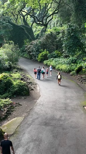Celebrate the Season with your ʻohana at Waimea Valley 🌿✨ From Nov 1 to Dec 24, kamaʻāina residents can get a holiday pass in person. Experience the sacred gardens, lush valleys, and Hawaiian culture that connect family, community, and nature. Bring your ʻohana and make meaningful memories together. | Waimea Valley