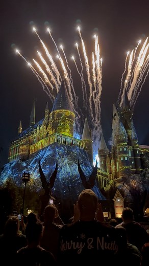 298K views · 6K reactions | The Magic of Christmas at Hogwarts Castle! | see.uo | Facebook