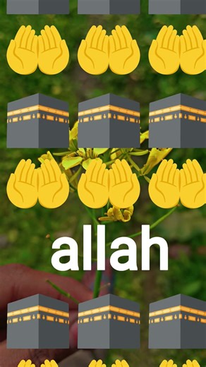 #allah #ki #like #and #follow #meme #oracle #song #music #sorts #video #allah #ki #construction #rob