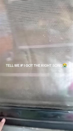 #window #phone #fyppppppppppppppppppppppp #outsidetpuchinggrassfinally