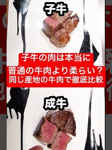 子牛肉・子羊肉は本当に柔らかい？同産地で食べ比べ検証