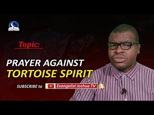 Deliverance Prayers Against Tortoise Spirit - Spiritual Meaning of Tortoise