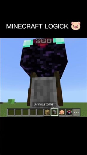 || Minecraft logic 🐷
