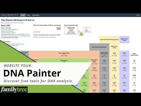 DNA Painter: Discover Free Tools for DNA Analysis