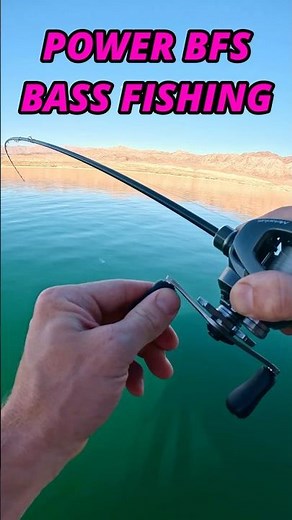 Power BFS BASS Fishing #fishing #bassfishing #baitcasting #bfsfishing #finessefishing