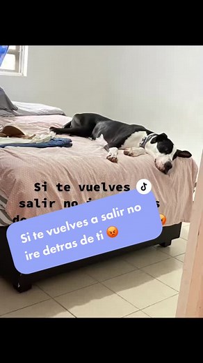 #granDanes #musa 😂😂