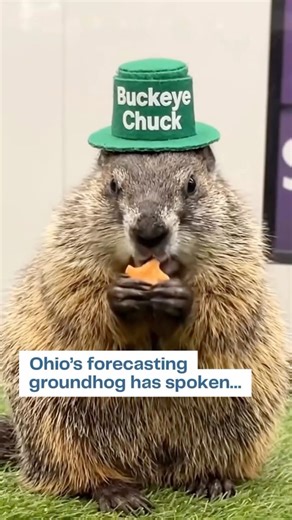 Good news, Ohio! Buckeye Chuck has spoken, and he’s calling for an early spring! ☀️ The famous groundhog made his much-anticipated prediction this morning in Marion, delighting fans watching from the crowd and at home. Bring on the sunshine! 📹 (hat added to video using AI) | Ohio Channel