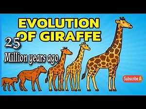 The Long Neck's Story: Evolution of the Giraffe | Amazing science | Rehman Science