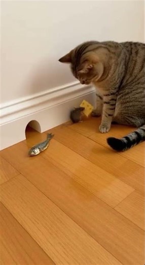 The Greatest Cat & Mouse Chase Scenes in Film History