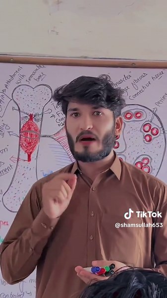 Muscle 💪 structure #by #shams #CCA #accademy #viralvide #foryoupage❤️❤️ #viraltiktokvideo #tiktokviral #tikto #official #page #officialaccount #pti #ambani #bollywood