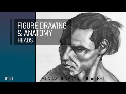 Figure Drawing & Anatomy - Heads #150