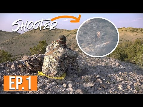 Shooter Buck Spotted | Nevada Archery Mule Deer with Marcus (EP. 1)