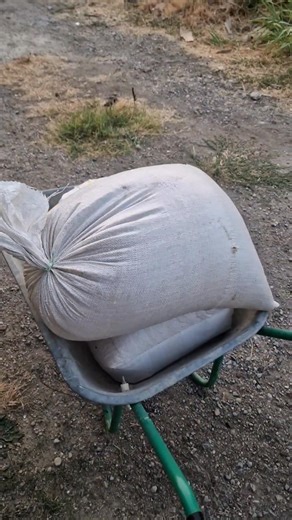 163K views · 4.7K reactions | Village life in Bulgaria, one of my favourite times of year is when they harvest grain, and here's why  #villagelife #balkans #harvest #barley #homebrewing #bulgaria | From Bournemouth to Bulgaria | Facebook