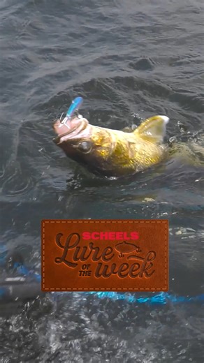 🎣LURE OF THE WEEK🎣 - https://bit.ly/3wSmHzE Water temperatures are heating up and so is the glide bait action! The Pitchin' Puppet from Northland Fishing Tackle finds the bottom fast and triggers aggressive strikes. | Scheels Outdoors