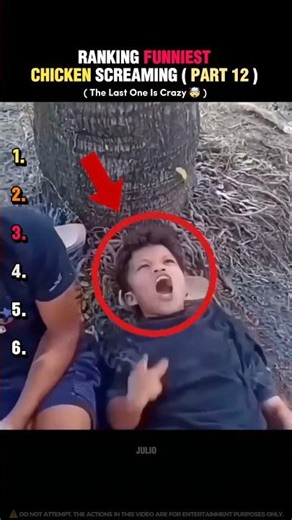 Ranking Funniest Chicken Screaming ( Part 12 )