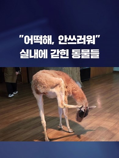 동물 복지 개선을 위한 동물원법 개정