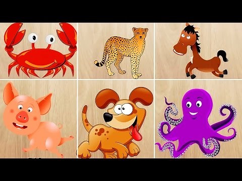 Puzzle Animals
