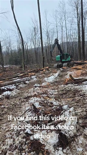 Logger Life: The Reality of Timber Harvesting