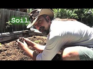 Getting Started with Vegetable Gardening in Colorado, Quick Guide for Beginners