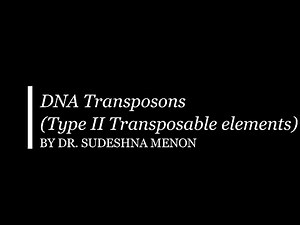 DNA Transposons (Type II Transposable Elements)