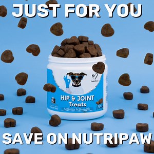 299 reactions · 14 shares |  "I have 3 beautiful rescue dogs and...