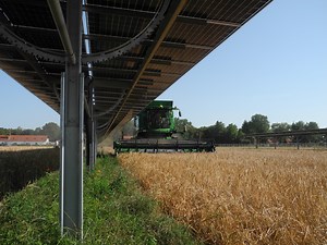 Agri-PV: Ernte und Stromernte kombiniert – lohnt es sich?
